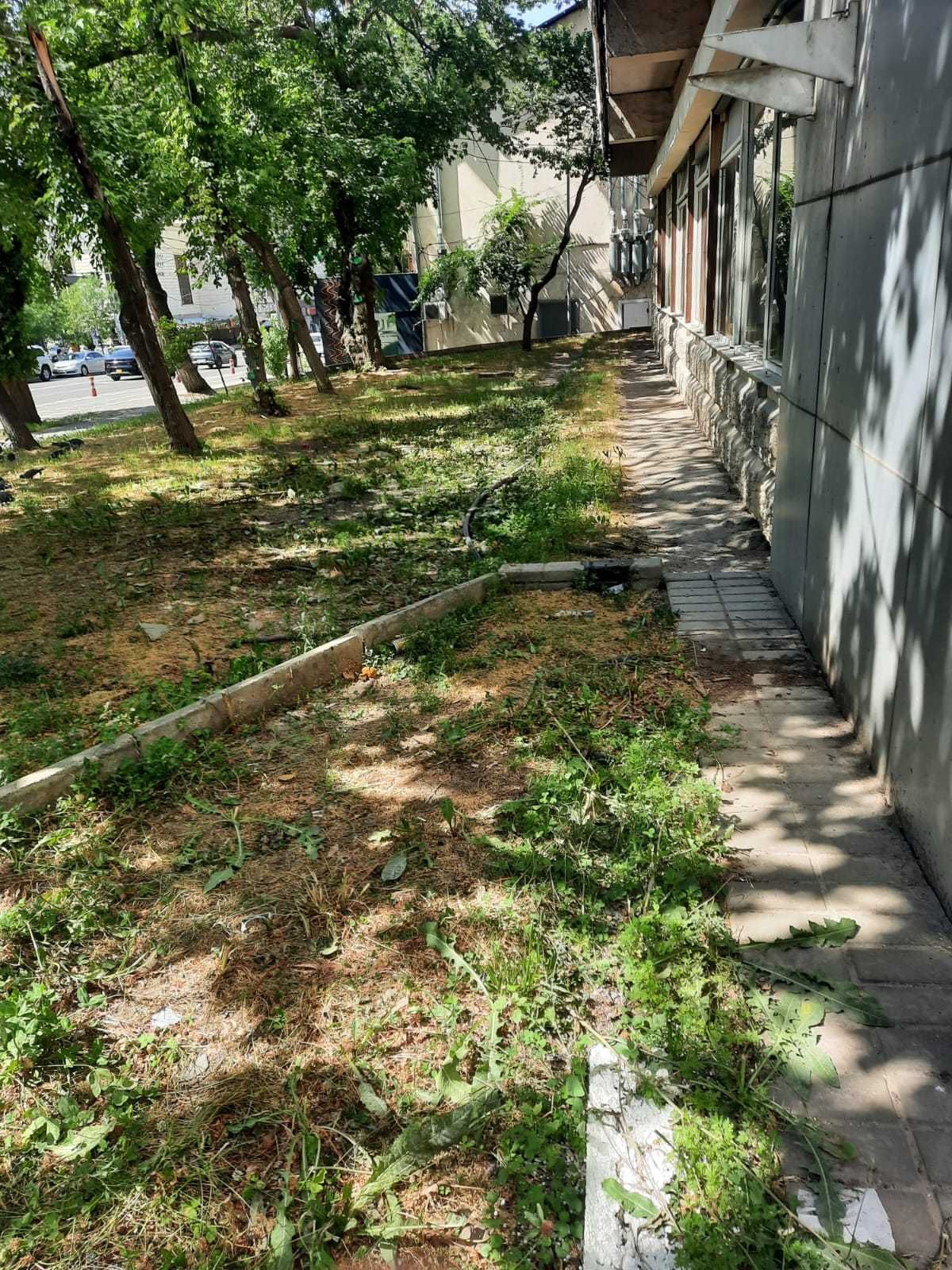 Сдам участок под Фаст Фуд Медуский Район