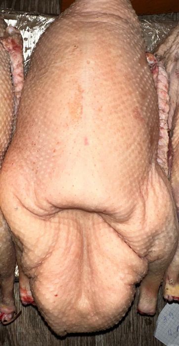 Продам мясо гуся