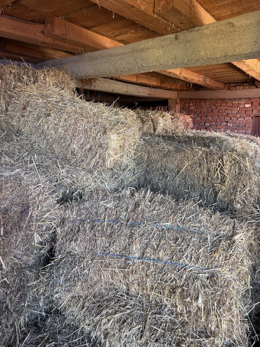 Baloti lucerna cu ovaz