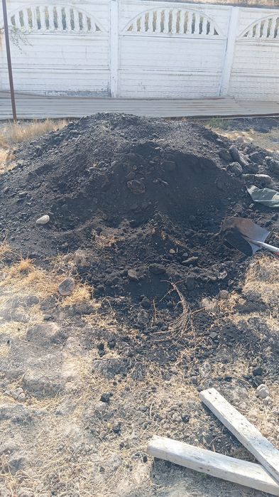 Koʻmir hoka tekinga