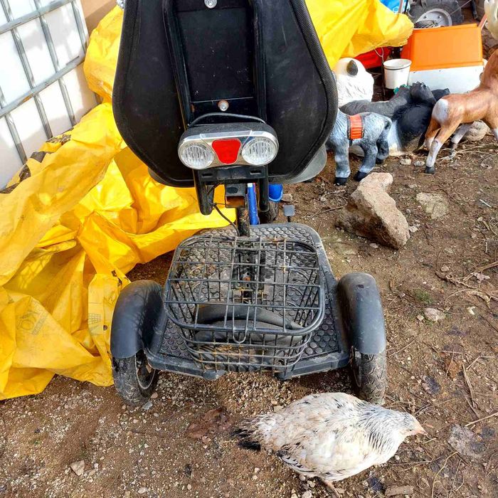 Триколка за възрастни