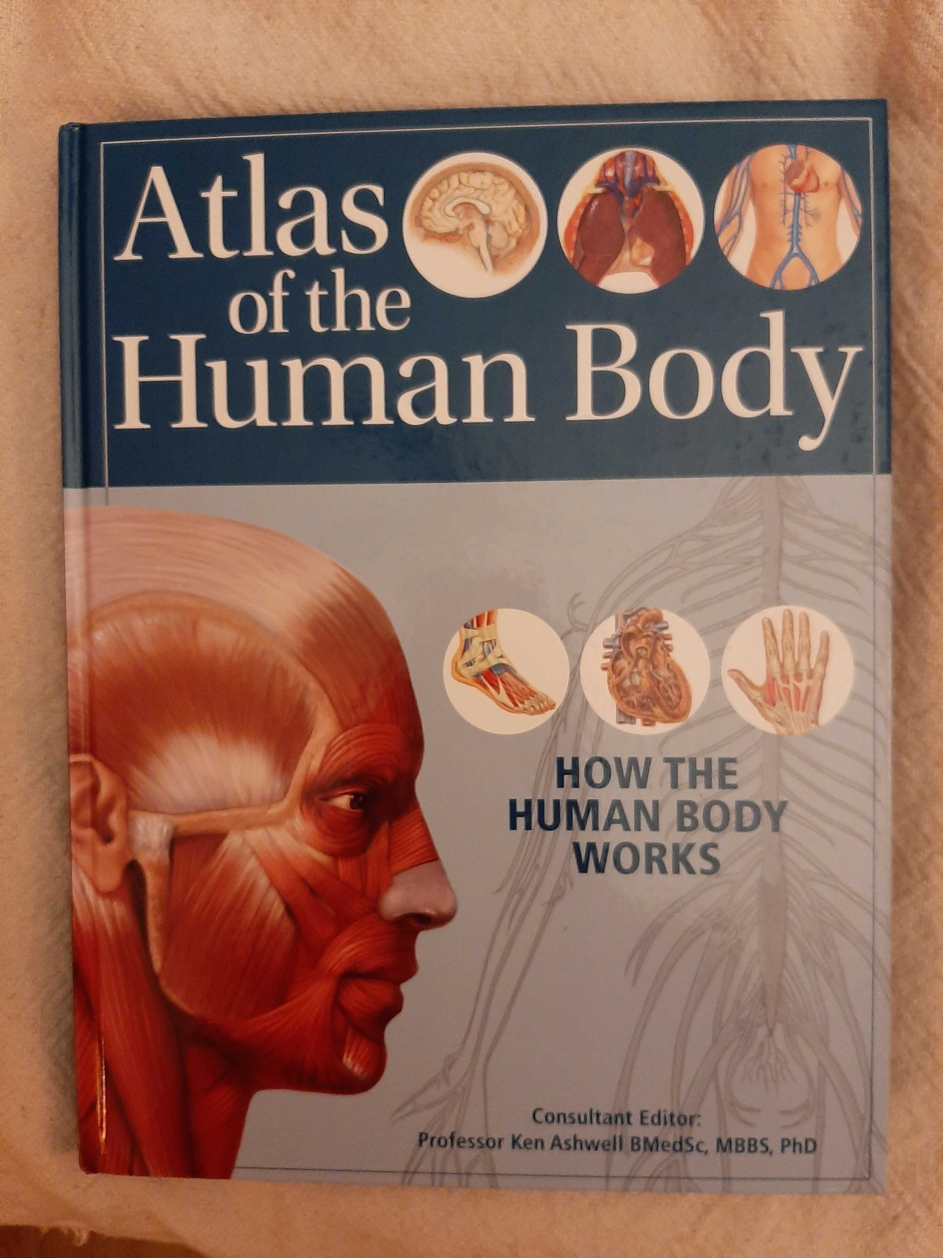 Atlas of the Human Body ken ashwell