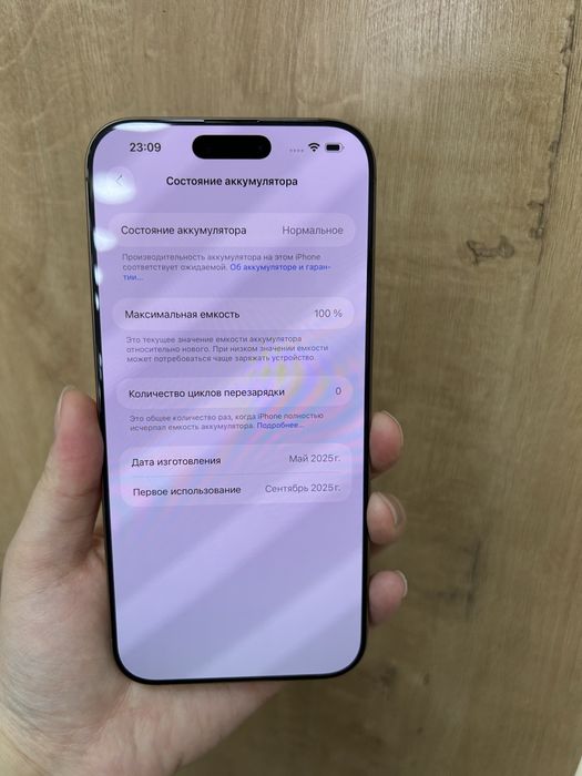 Iphone 16 pro max 256gb 100%