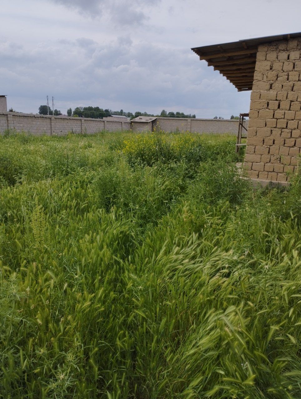 Toshkent shahar Yangihayot tumanida hovli sotiladi