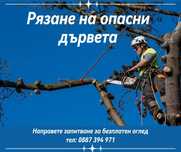 Рязане, отсичане, премахване, на опасни дървета и клони в гр. Пловдив