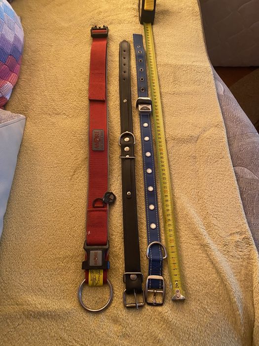 Zgarda solida Caini talie medie și mari