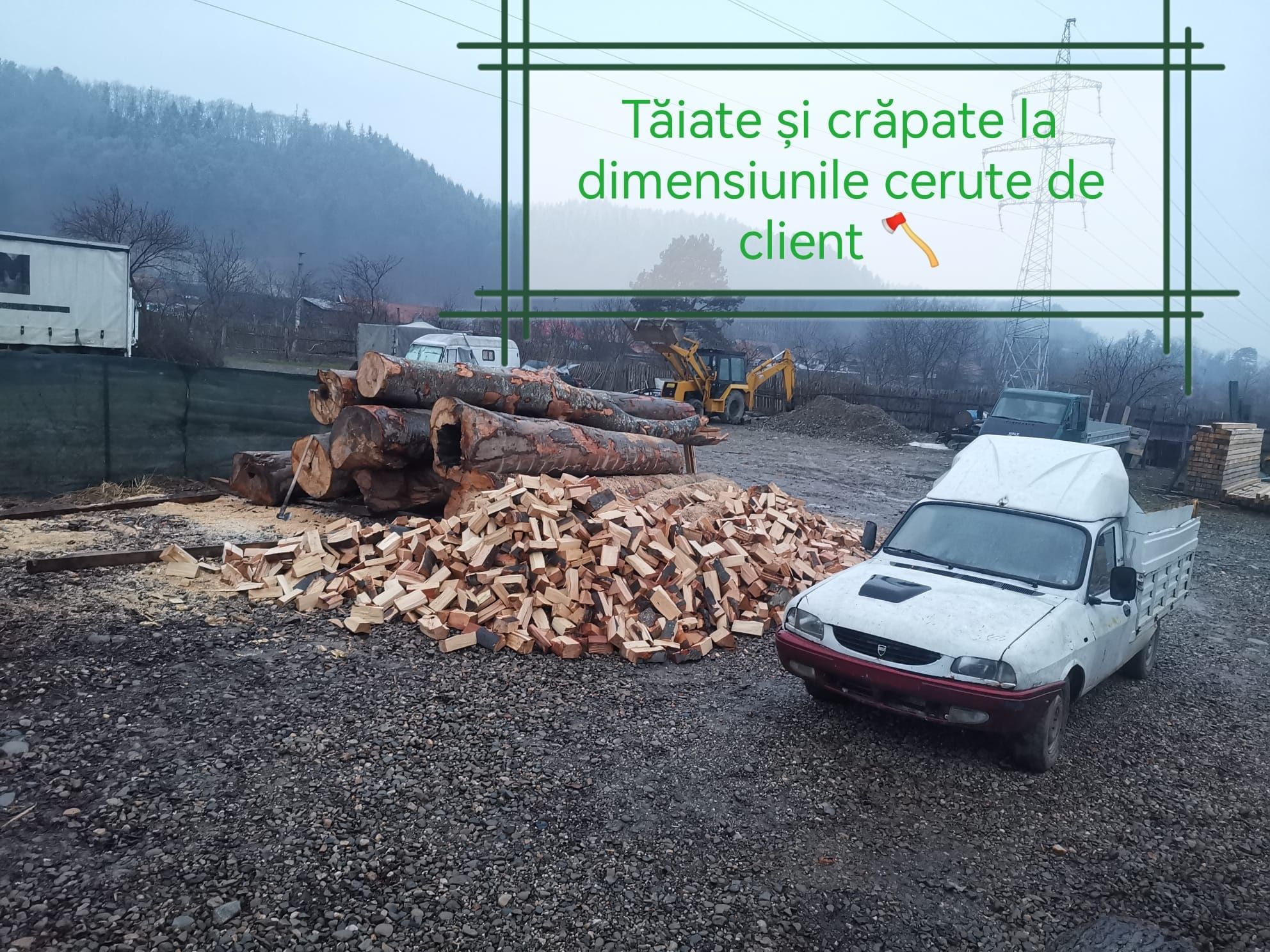 Lemn de foc   fag