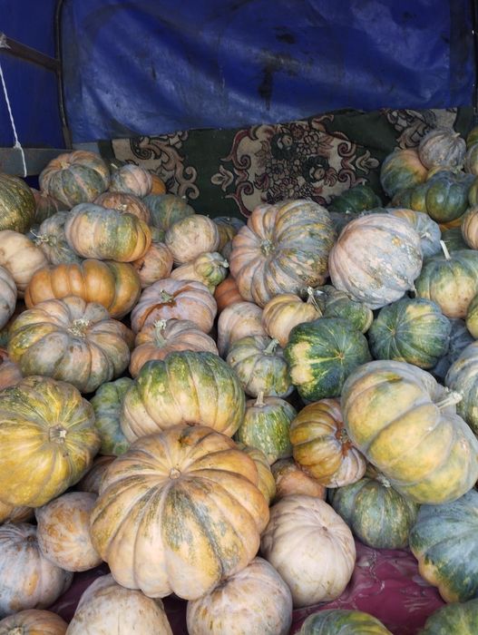 Тыква Американка