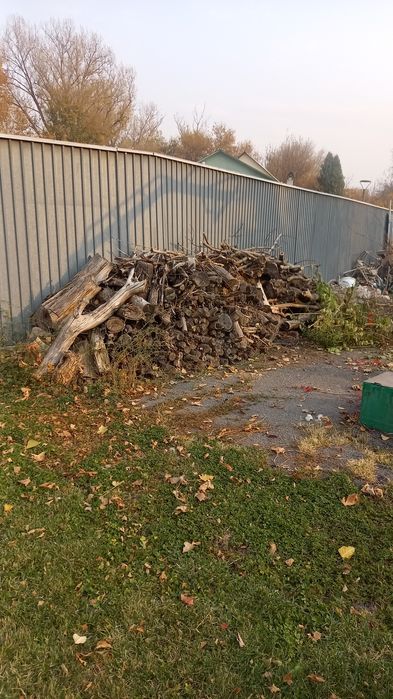 Продам дрова каштан сумах