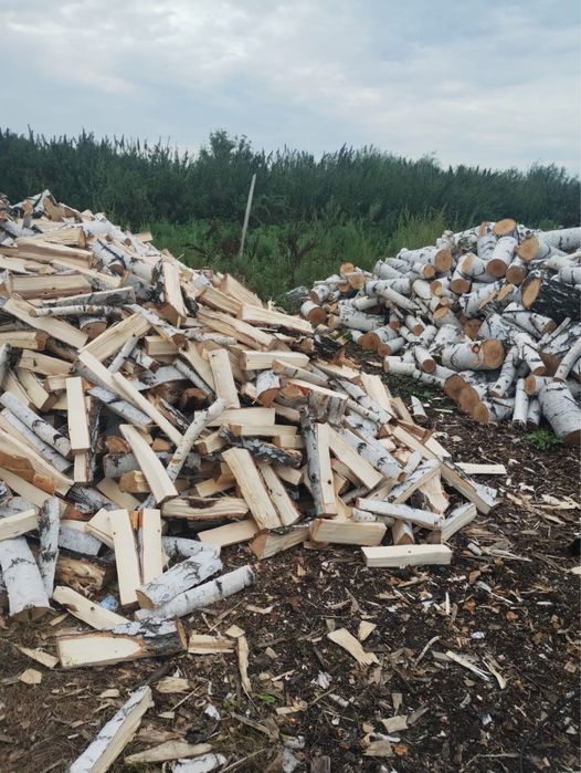 Дрова берёзовыее