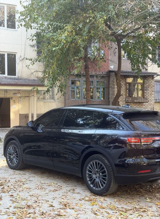 Leapmotor C11 доп опция