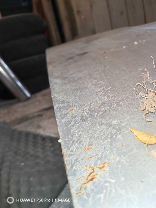 Капот ниссан примера р10