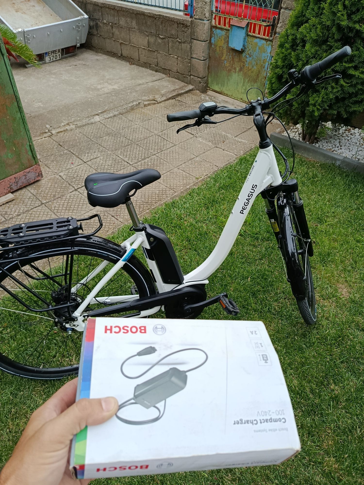Pegasus Ancura E8R Disc 28