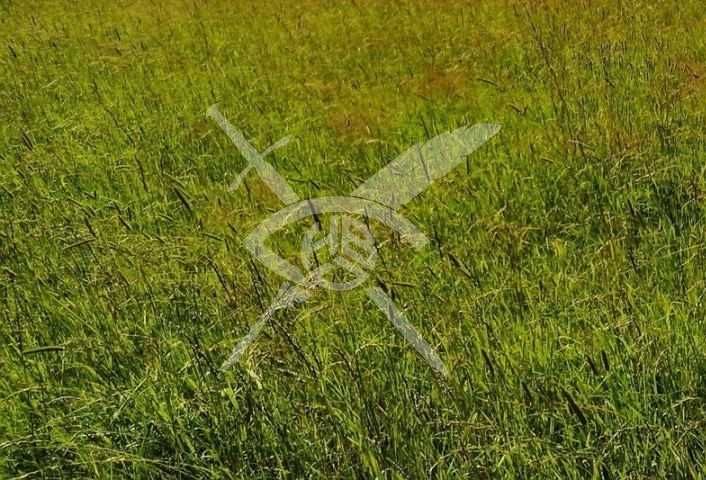 Парцел за промишлено строителство в Първенец 93547