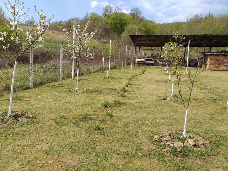 Casa P+2 Individuala