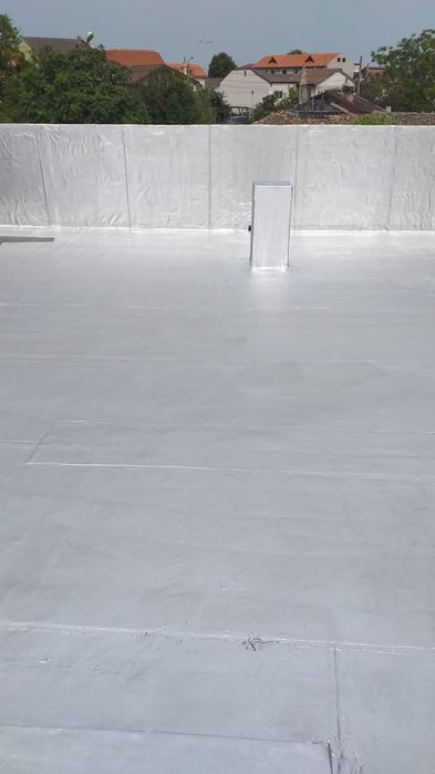 Hidroizolatii Profesionale Navodari