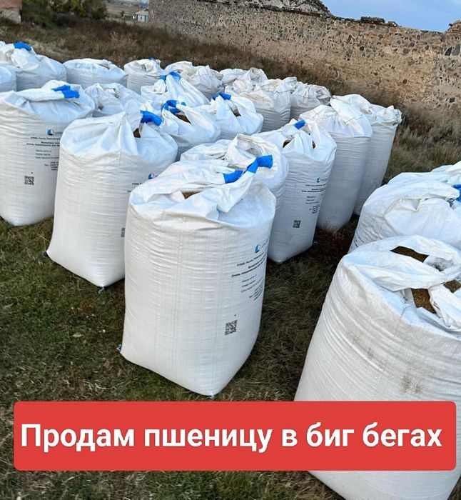 Продам пшеницу в биг бегах