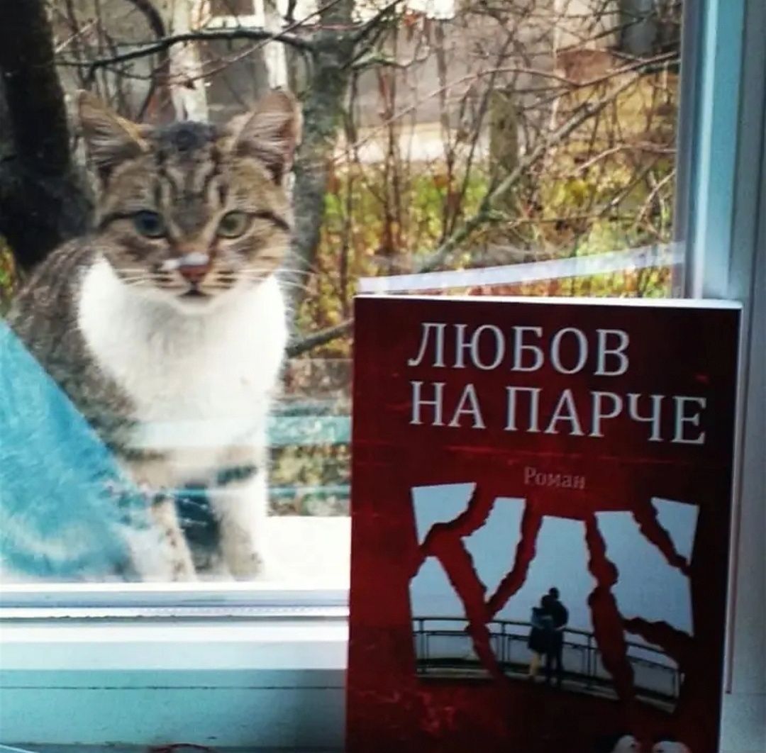 Книгата е чудесно четиво