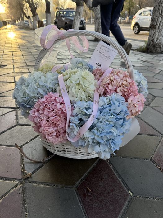 Цветы гортензия сегодня купили за 45к прадаю за 30к есть торг