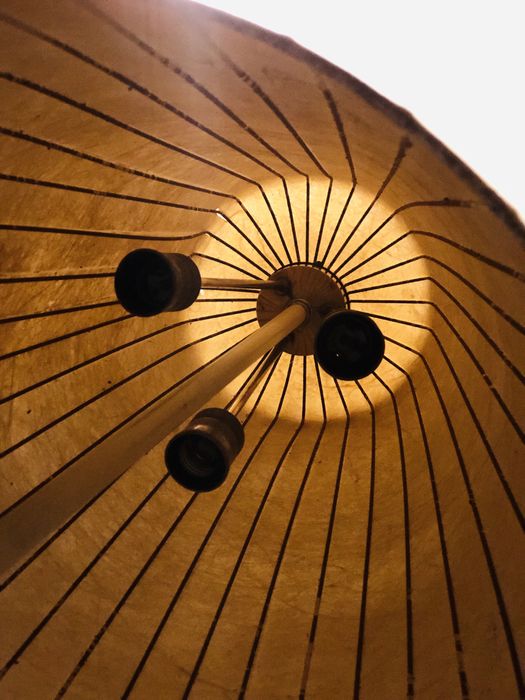 Mid Century Superba lampa podea