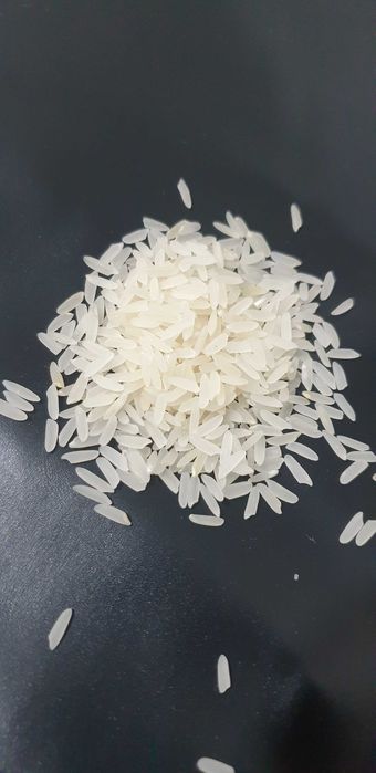 рис сорт лазер высшего сорта