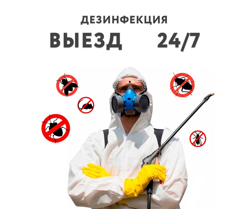Дезинфексия хизмати 24/7