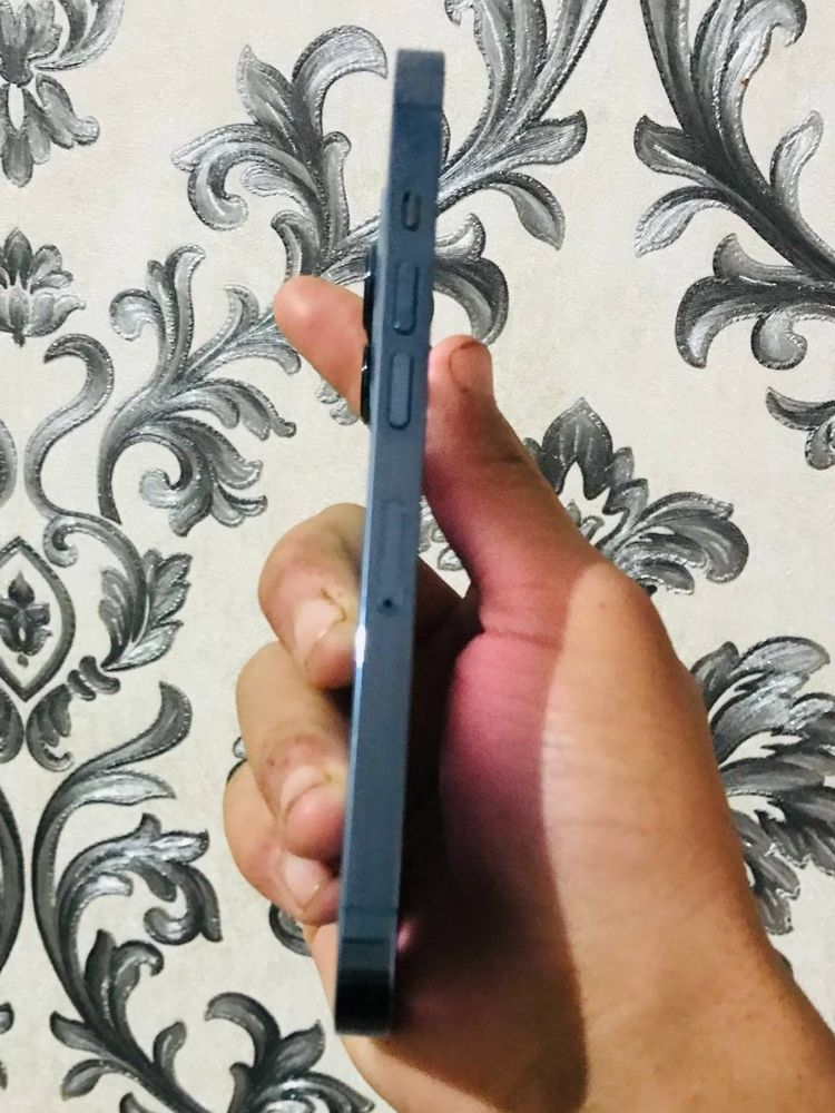 Iphone 13 pro blue