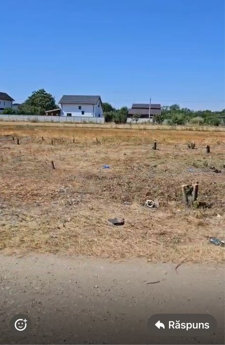 Ordoreanu langa padure