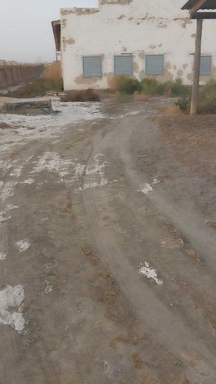 Nukus tumanida Molxona va Tovuqxona binosi sotildi