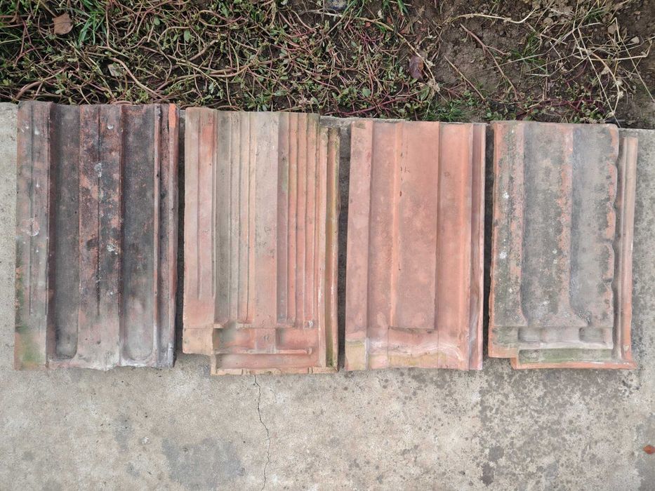 Țiglă leu Jimbolia