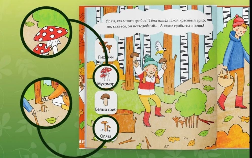 Детская книга. Найди и покажи, малыш. В лесу