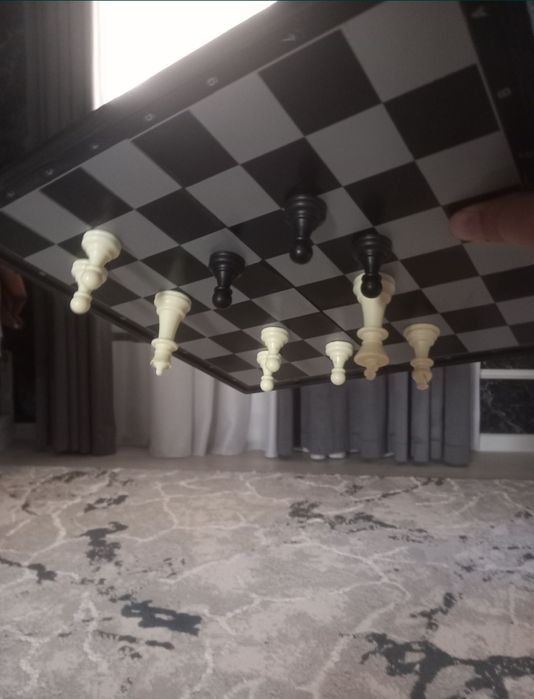 Магнитные шахматы