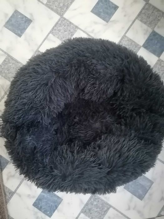 Лежанка для кошек