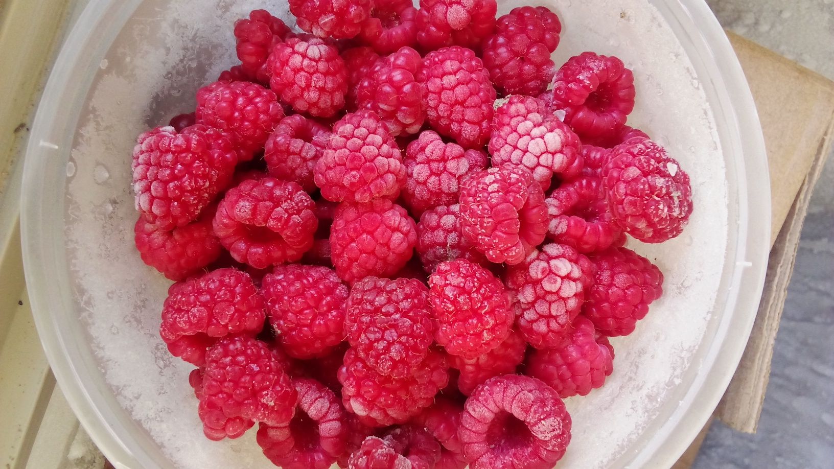 Malina mevalari sifatli