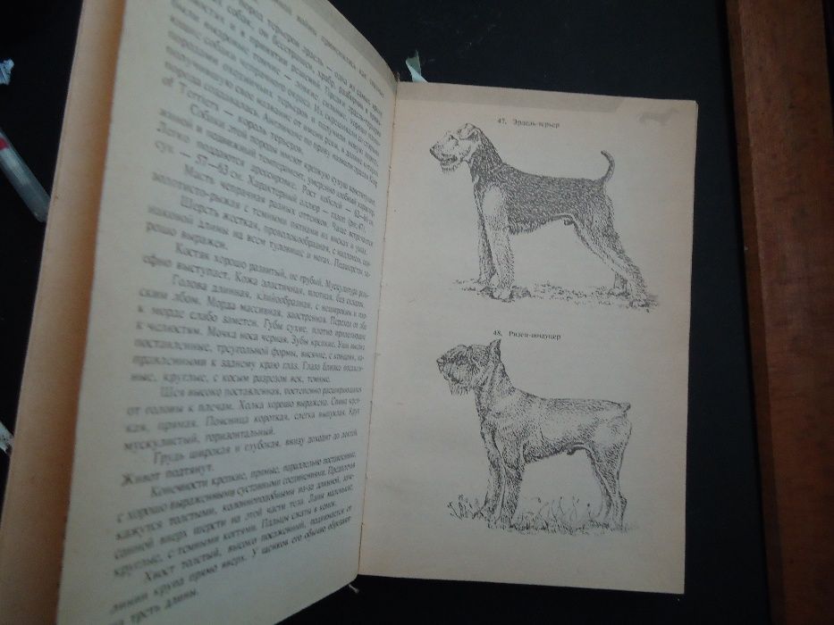 Книга О Наших Любимцах ( Собаки-Кошки) Толстая полная как Энциклопедия