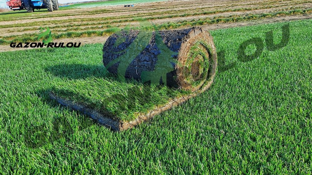 Gazon Natural Rulou