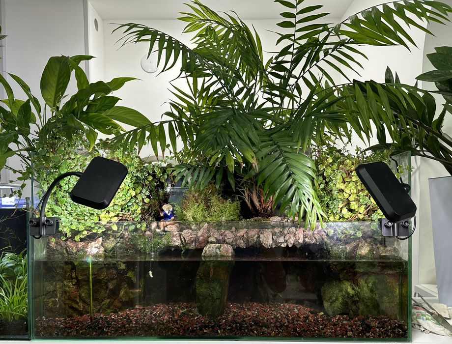 Продаю полидариум