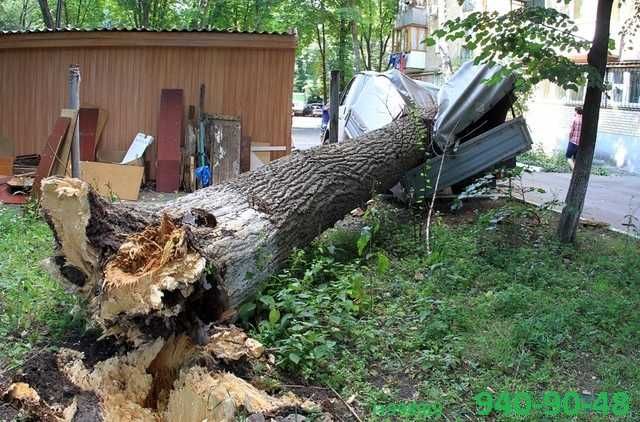 Арбаристика. Бензопилы* Пилим аварийные деревья. Автовышка. Сергей.