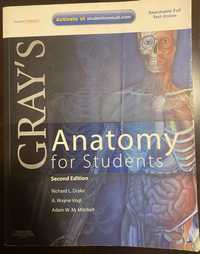 Grey’s Anatomy 2nd edition