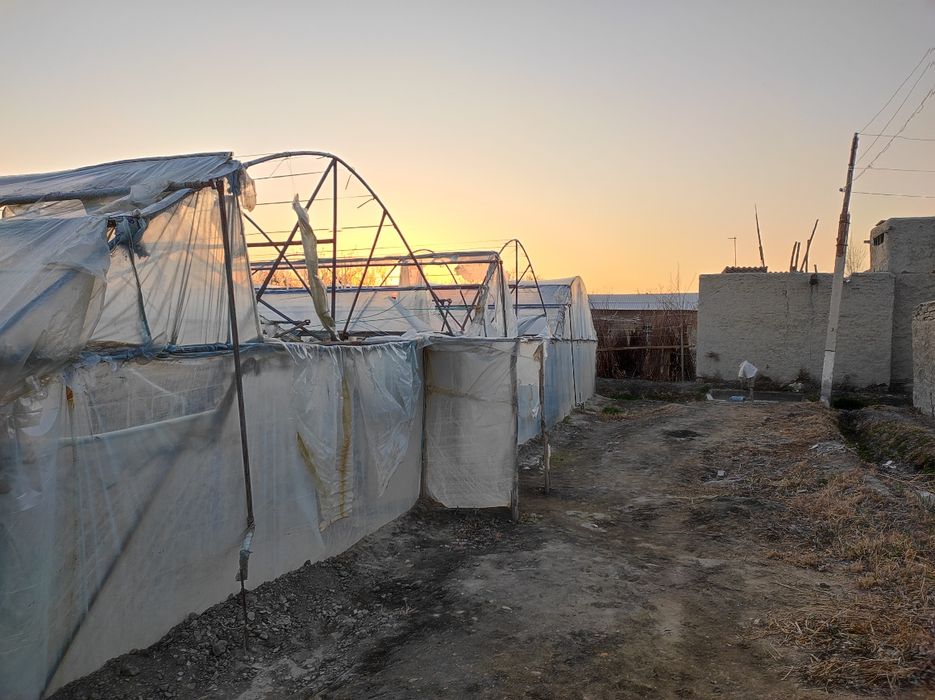 Иссиқхона 5,5 сотиқли tez va арзонга сотяпман