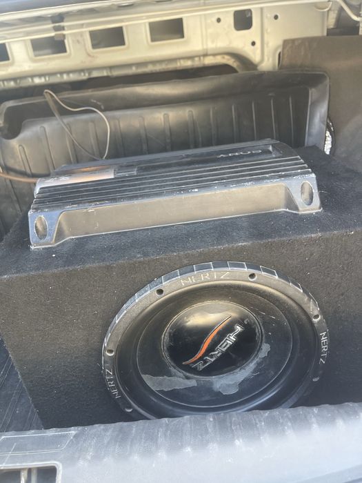 Sabbufer hertz sotiladi