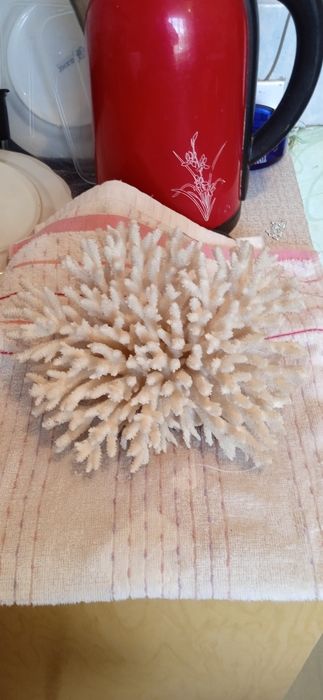 Для аквариума аксессуар смотрите фото