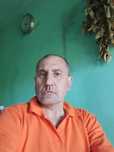 Limba olandeza( oficial: neerlandeza)
