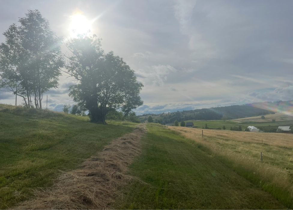 Teren de vânzare la munte în Măguri, Măguri-Răcătău,9185 mp, pt Cabana