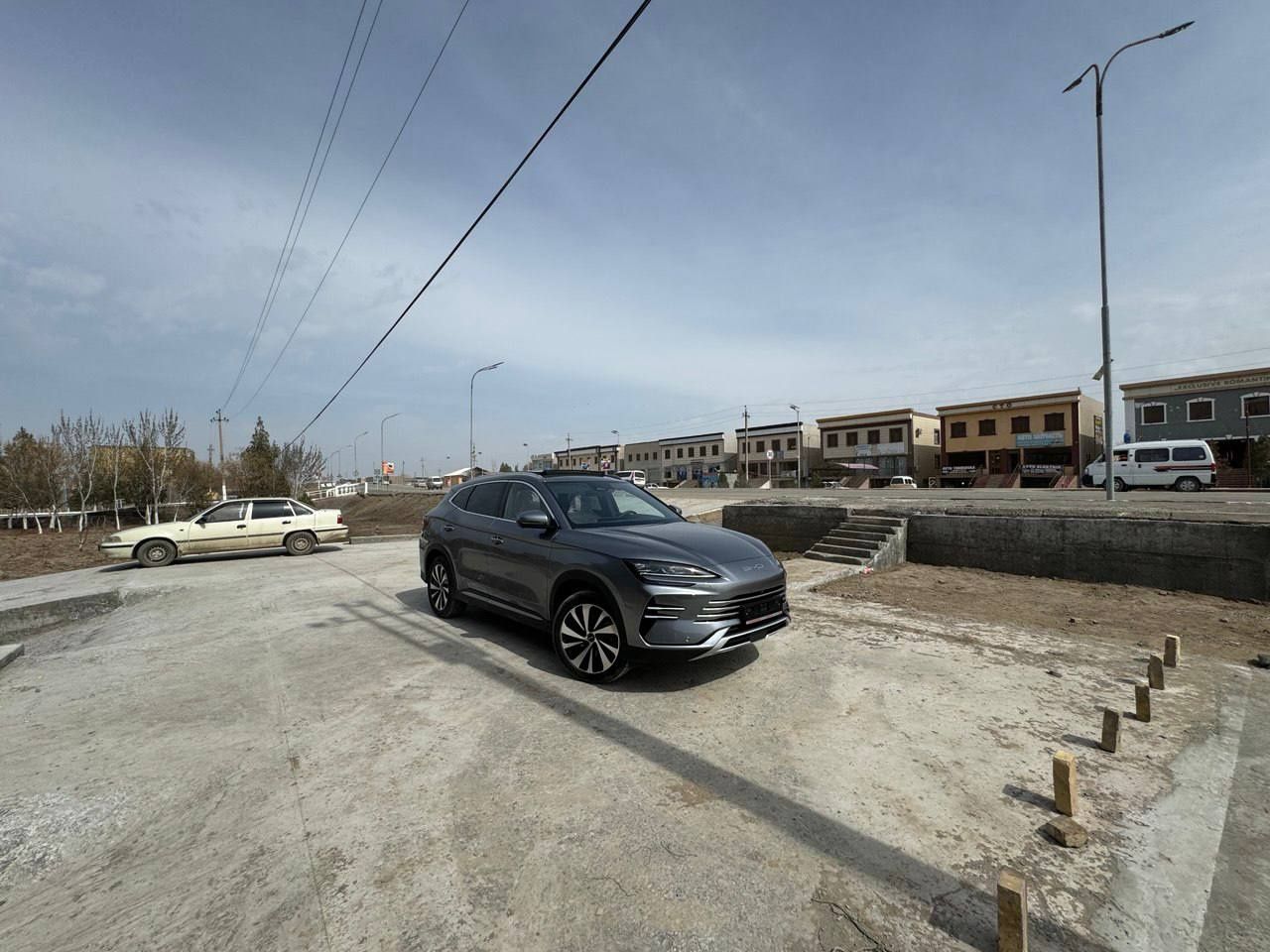 Byd chempion gibrid 2024