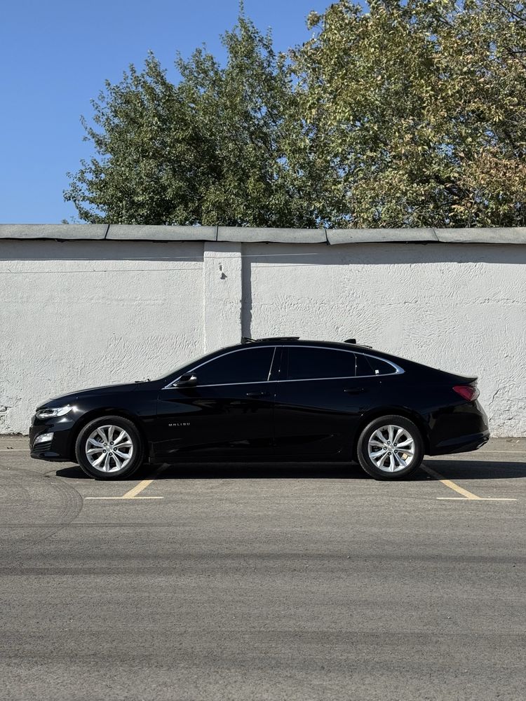 Malibu 2 Primier