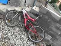 Biciclete la alegere