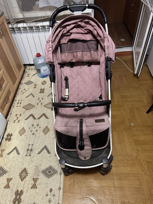 Детская коляска DEAREST