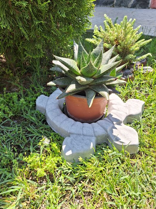 Бетонни костенурки за градина