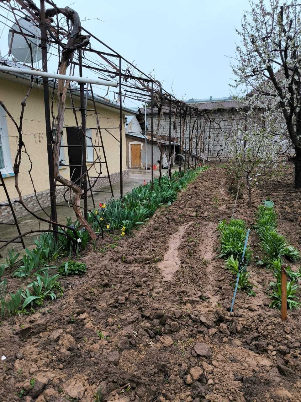 Продается дом в центре Кибрая улица Сагбон 9